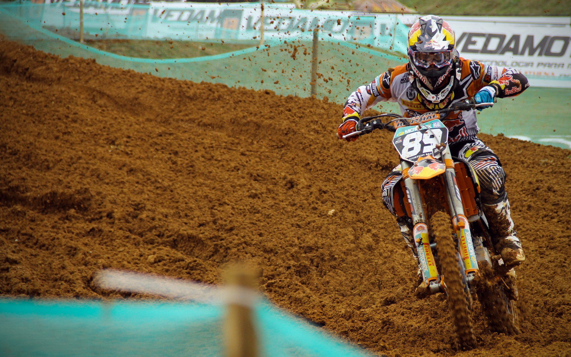 厄瓜多尔对阵波兰，努涅斯打出生涯之夜，南美风暴席卷欧洲堡垒